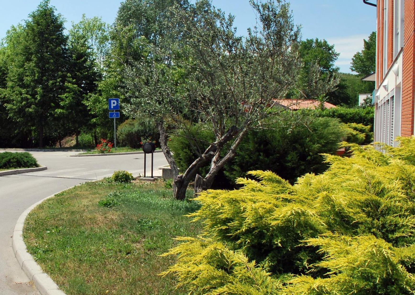 Bed And Breakfast Kogoj Nova Gorica Zewnętrze zdjęcie