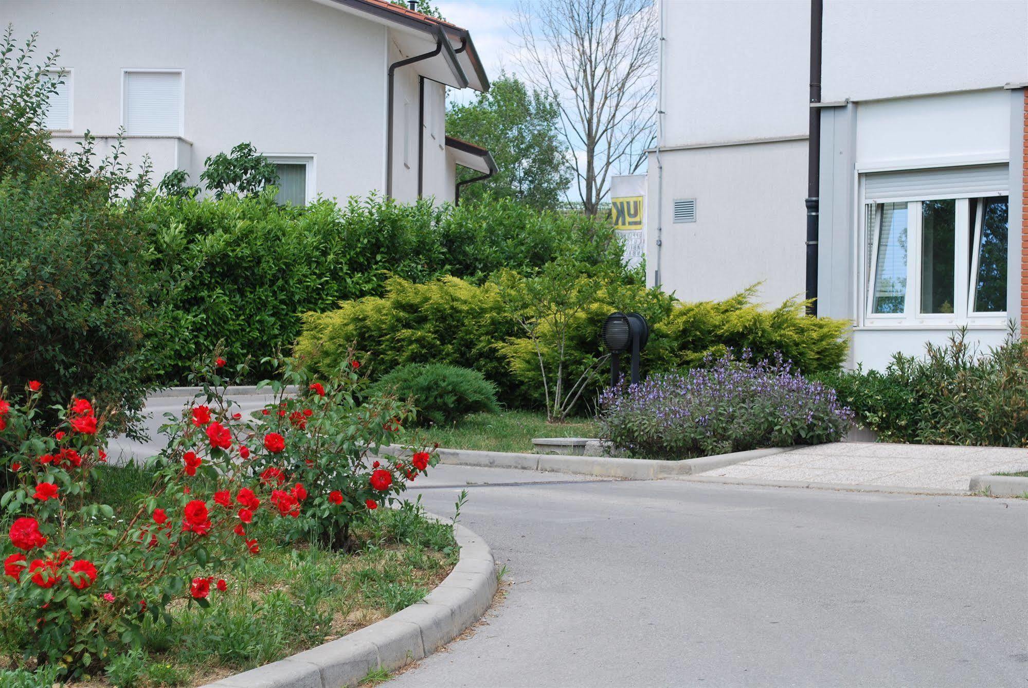 Bed And Breakfast Kogoj Nova Gorica Zewnętrze zdjęcie